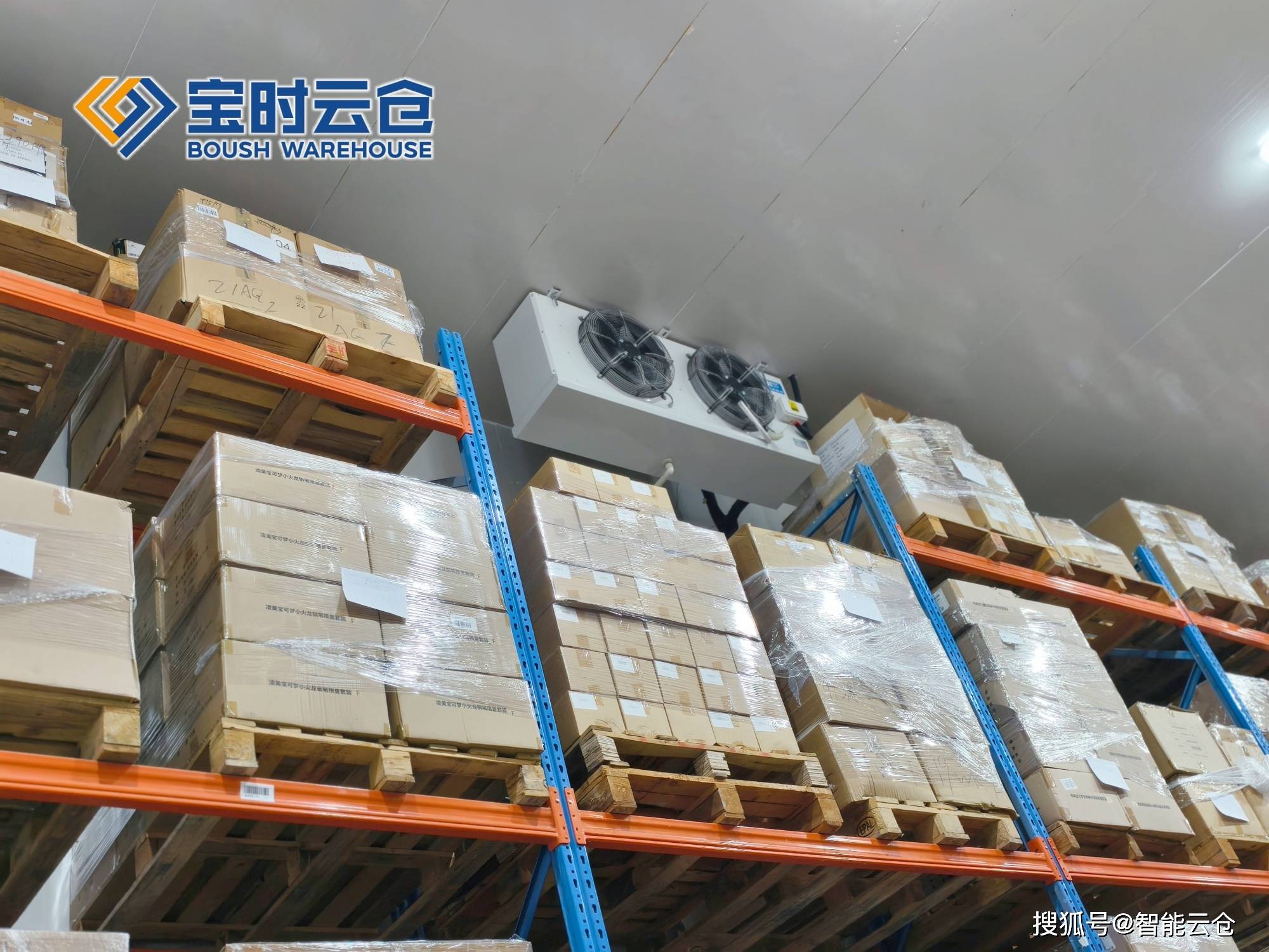 东方市领先物流品牌升级(领先物流服务商是自营物流)