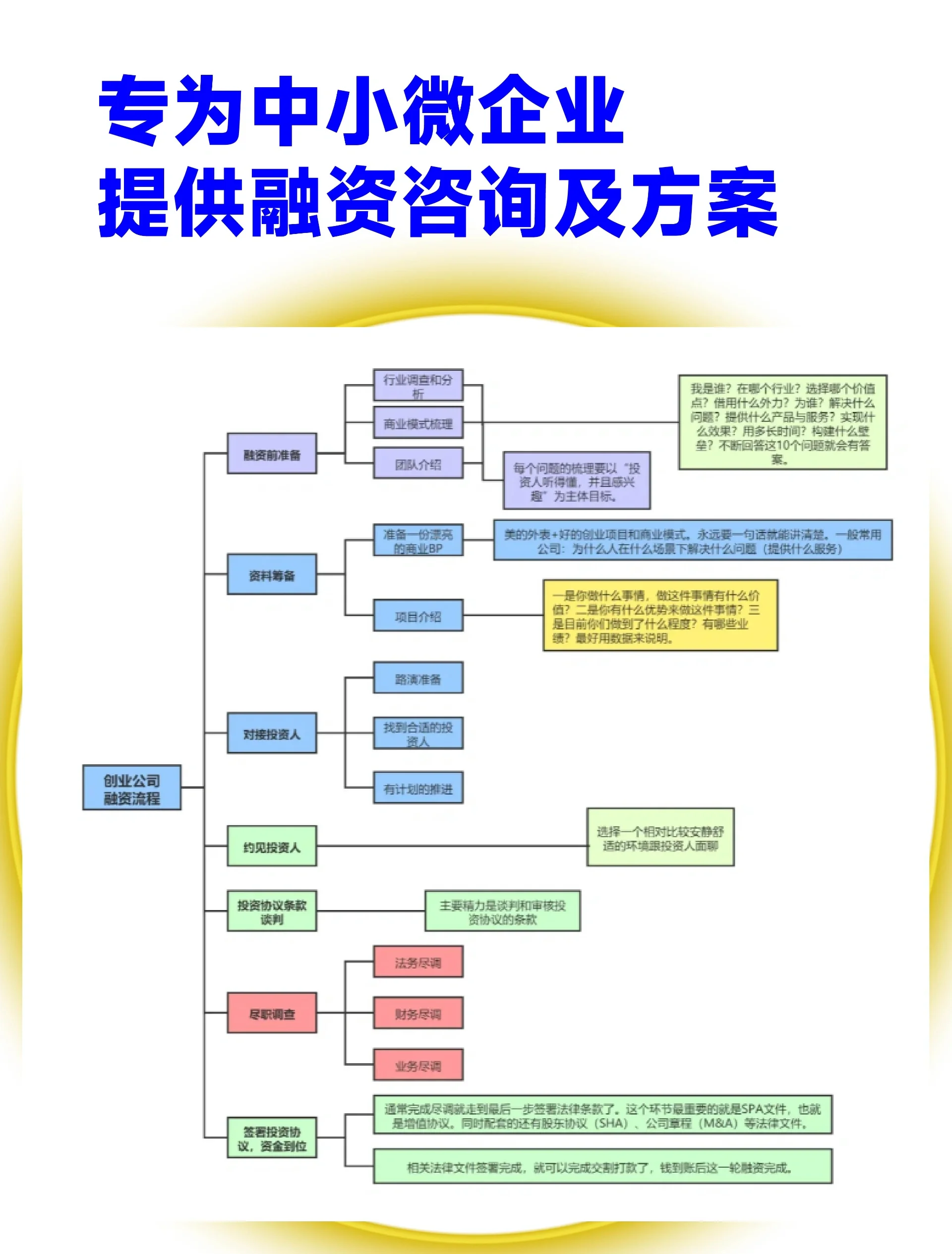 东方市宠物企业资金管理(宠物管理机构叫什么)