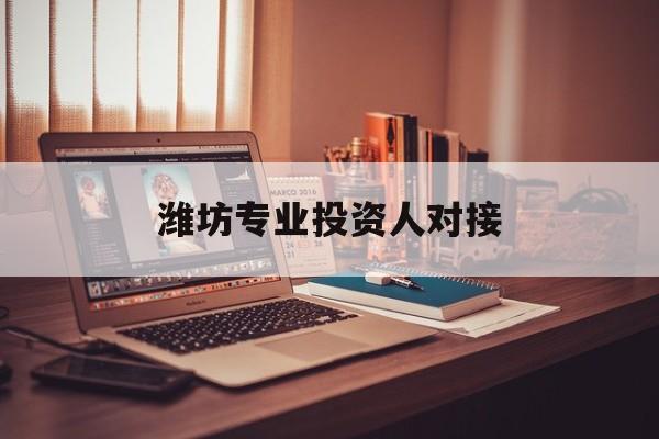 东方市潍坊专业投资人对接(潍坊专业投资人对接中心)