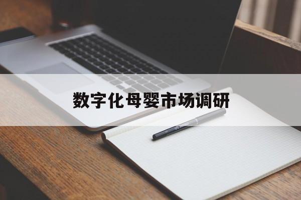东方市数字化母婴市场调研(数字化母婴市场调研报告)